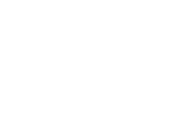 100 percent workmanship warranty icon