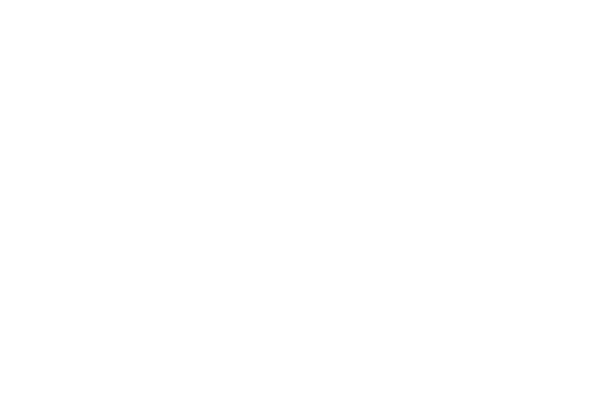 100 percent satisfaction guarantee icon
