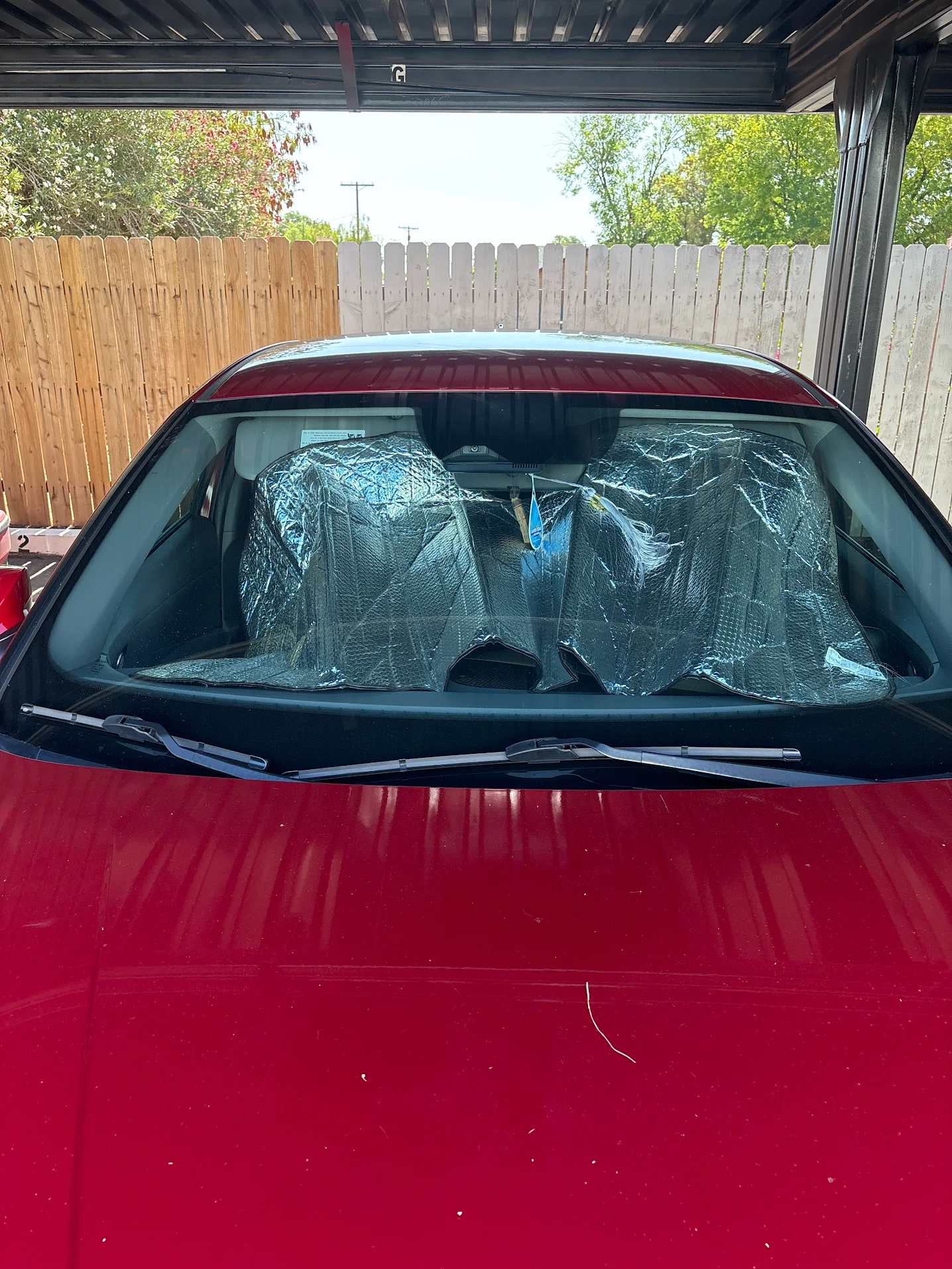 Review from Dawn McBee