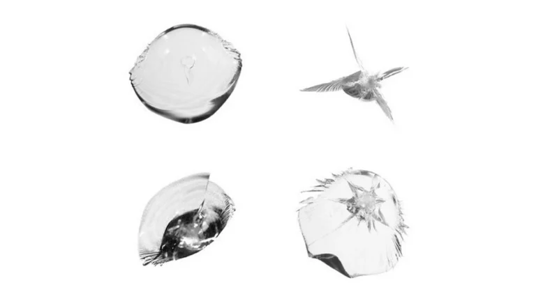 Types of Windshield Cracks