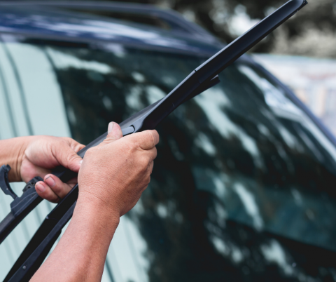 windshield
