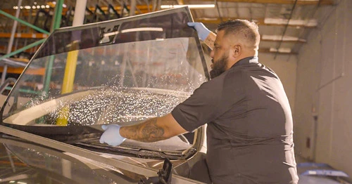 OEM Windshield