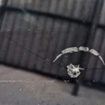 Stopping a Windshield Crack Before It Spreads Across the Glass