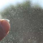 What Causes Windshield Pitting and What to Do About It