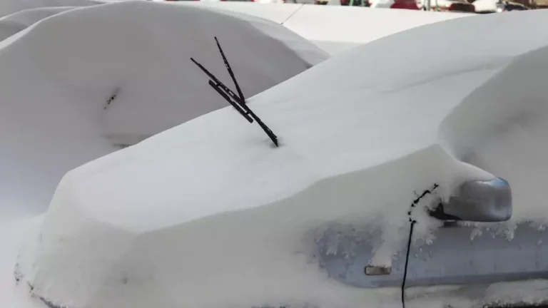 Windshield Wipers Up When It Snows