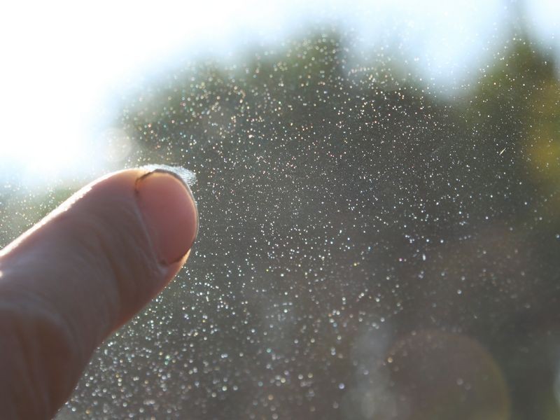 Windshield Pitting