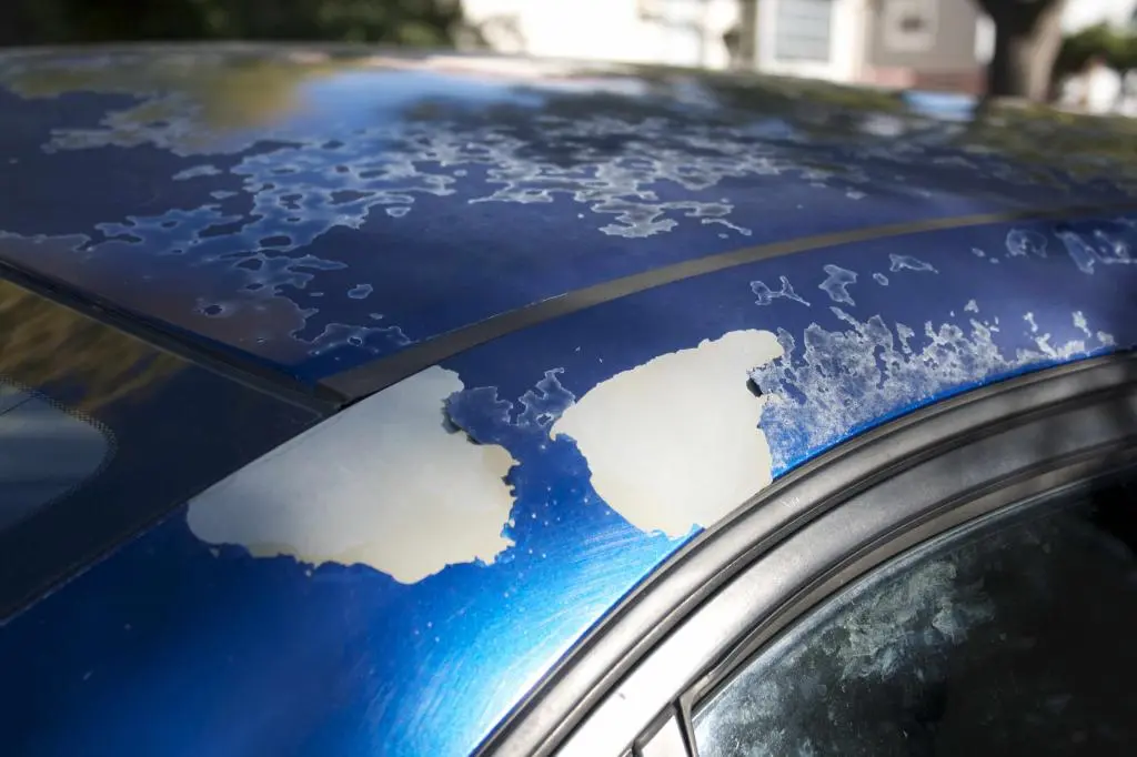 How to stop Paint Chipping on your Car?