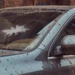 How to Get Paint Off Your Windshield: A Step-by-Step Guide
