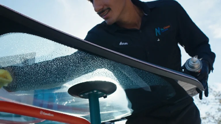 everything you need to know about oem windshield