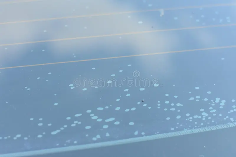 Fix Peeling Window Tint