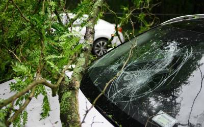 Damaged windshield