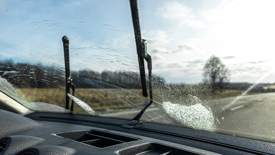 how to get bugs off windshields