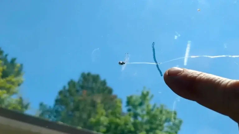 Windshield Pit vs. Chip