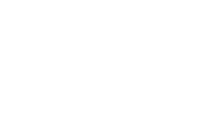 100 percent workmanship warranty icon
