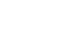 Free mobile service icon