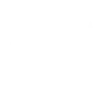 OEM grade glass icon