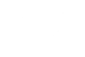 OEM grade glass icon