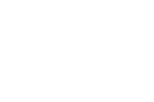 Windshield fixed in 60 mins icon