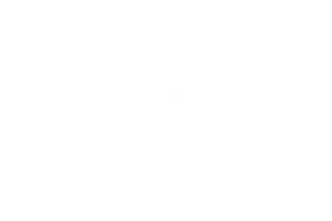 100 percent satisfaction guarantee icon